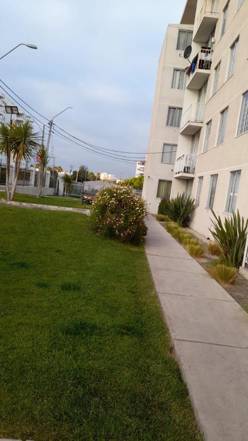 Arriendo Departamento Diario Apartamento